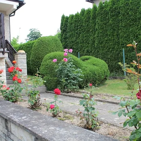 Beautiful Family With Garden *